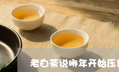 老白茶说哪年开始压饼的/2023032842735