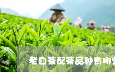 老白茶配茶品种有哪些好/2023032801809