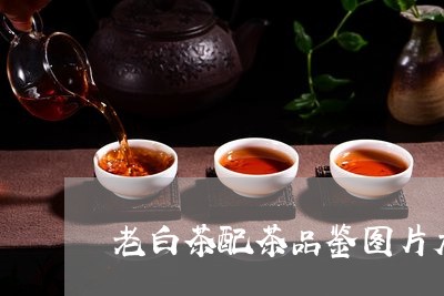 老白茶配茶品鉴图片大全/2023032881835