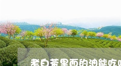 老白茶里面的油能吃吗吗/2023032848271