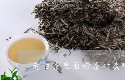 老白茶里面的茶叶有哪些/2023032827282