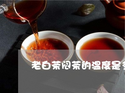 老白茶闷茶的温度是多少/2023032814927