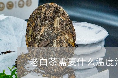 老白茶需要什么温度泡茶/2023032774039