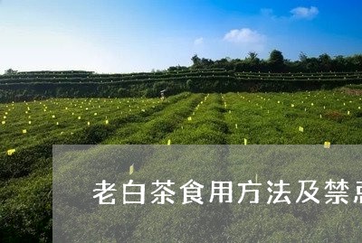 老白茶食用方法及禁忌表/2023032773946