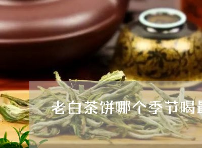 老白茶饼哪个季节喝最好/2023032703815