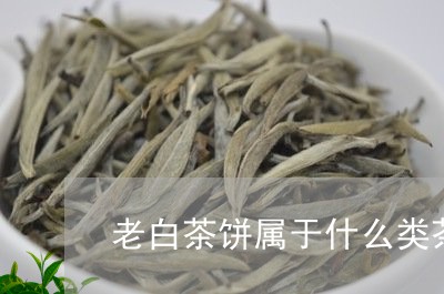 老白茶饼属于什么类茶品/2023032787160