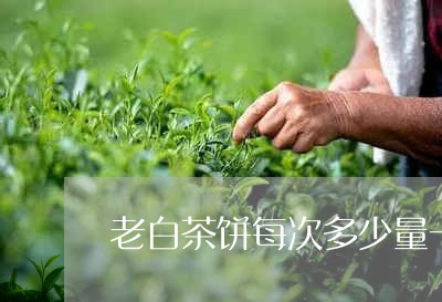 老白茶饼每次多少量一个/2023032705158