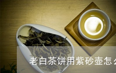 老白茶饼用紫砂壶怎么泡/2023032713747