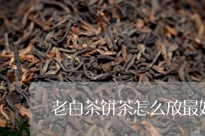 老白茶饼茶怎么放最好的/2023032769402