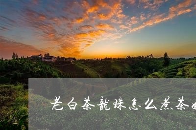 老白茶龙珠怎么煮茶好喝/2023032718373