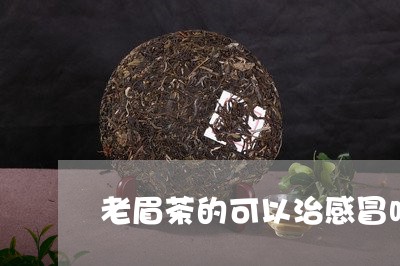 老眉茶的可以治感冒吗/2023032782814