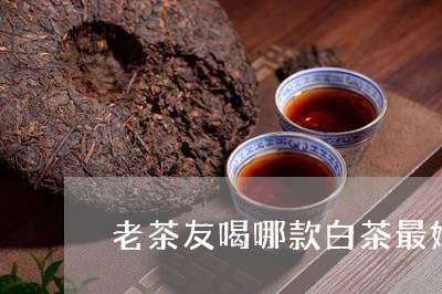 老茶友喝哪款白茶最好喝/2023032898382