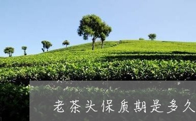 老茶头保质期是多久/2023041701716