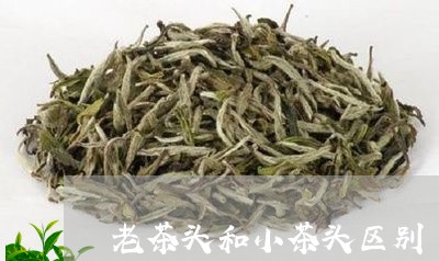 老茶头和小茶头区别/2023032147601