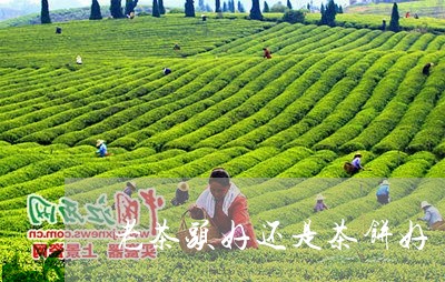 老茶头好还是茶饼好/2023032238583