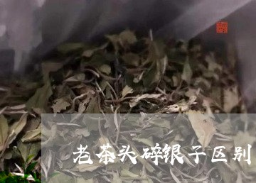 老茶头碎银子区别/2023032401594