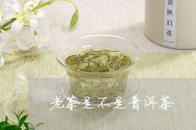 老茶是不是普洱茶/2023041164049