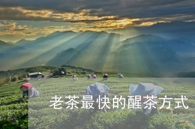 老茶最快的醒茶方式/2023041626151