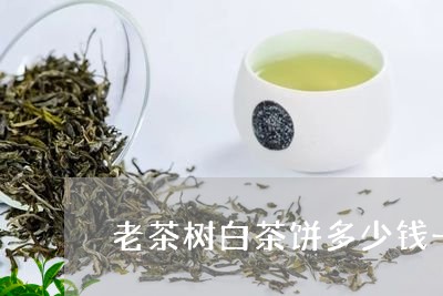 老茶树白茶饼多少钱一个/2023032882614