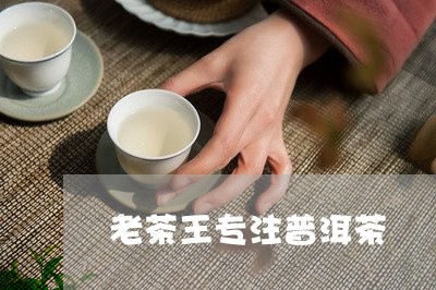 老茶王专注普洱茶/2023031659392