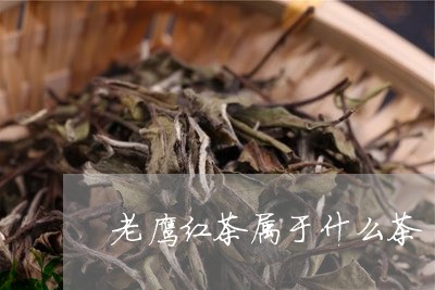 老鹰红茶属于什么茶/2023032051492