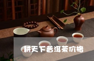 耕天下普洱茶价格/2023040939361