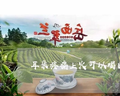 耳朵疼痛上火可以喝白茶/2023032883825