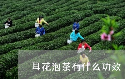 耳花泡茶有什么功效/2023041680384