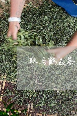 耿马鹤益茶厂昔归茶/2023032287259