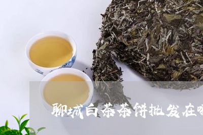 聊城白茶茶饼批发在哪卖/2023032826278