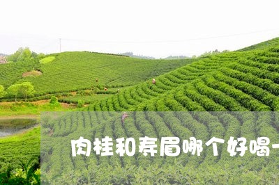 肉桂和寿眉哪个好喝一点/2023032815160