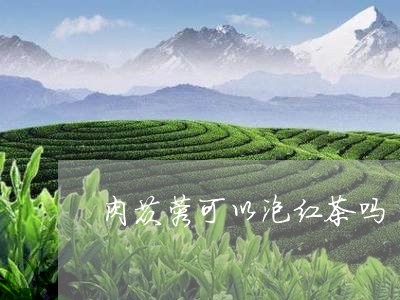 肉苁蓉可以泡红茶吗/2023031930481