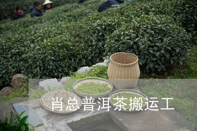 肖总普洱茶搬运工/2023033016171