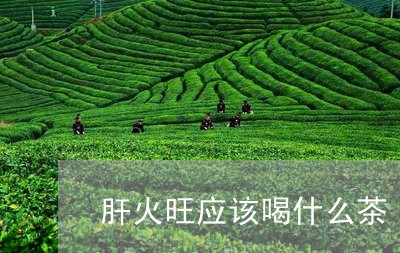 肝火旺应该喝什么茶/2023041592895