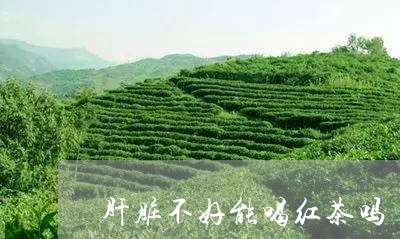 肝脏不好能喝红茶吗/2023041550502