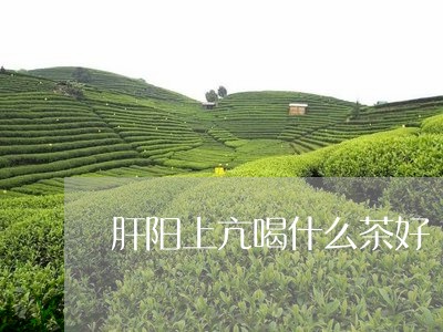 肝阳上亢喝什么茶好/2023031941713