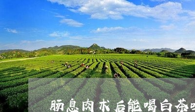 肠息肉术后能喝白茶吗吗/2023032820392