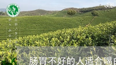 肠胃不好的人适合喝白茶/2023032860502