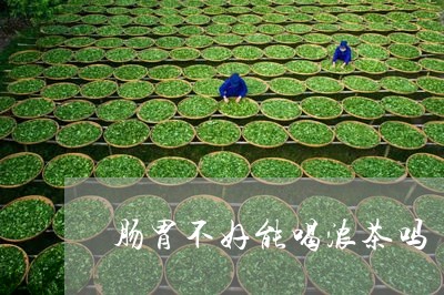 肠胃不好能喝浓茶吗/2023031883504