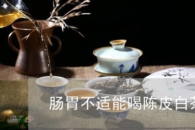 肠胃不适能喝陈皮白茶吗/2023032882727