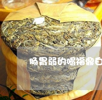 肠胃弱的喝福鼎白茶好吗/2023032881372