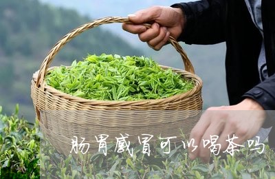 肠胃感冒可以喝茶吗/2023041646061