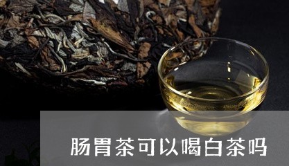 肠胃茶可以喝白茶吗/2023032886148