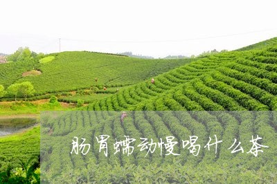 肠胃蠕动慢喝什么茶/2023041561825