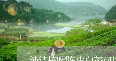 肺结核喝陈皮白茶可以吗/2023032876849