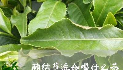 肺结节适合喝什么茶/2023041518371