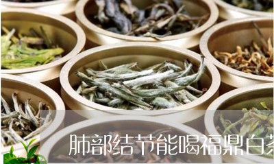 肺部结节能喝福鼎白茶吗/2023032849473