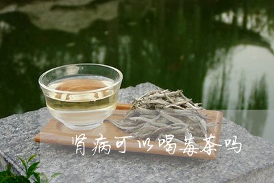 肾病可以喝莓茶吗/2023032295268