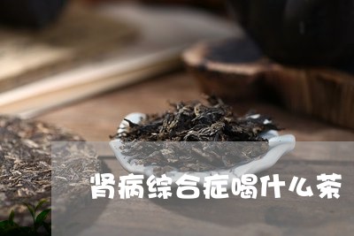 肾病综合症喝什么茶/2023032027460