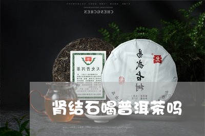 肾结石喝普洱茶吗/2023031727583